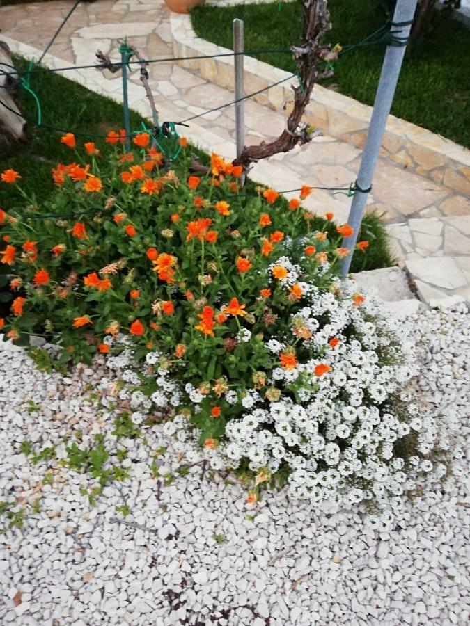 Apartmani Poljanec Vir Kültér fotó